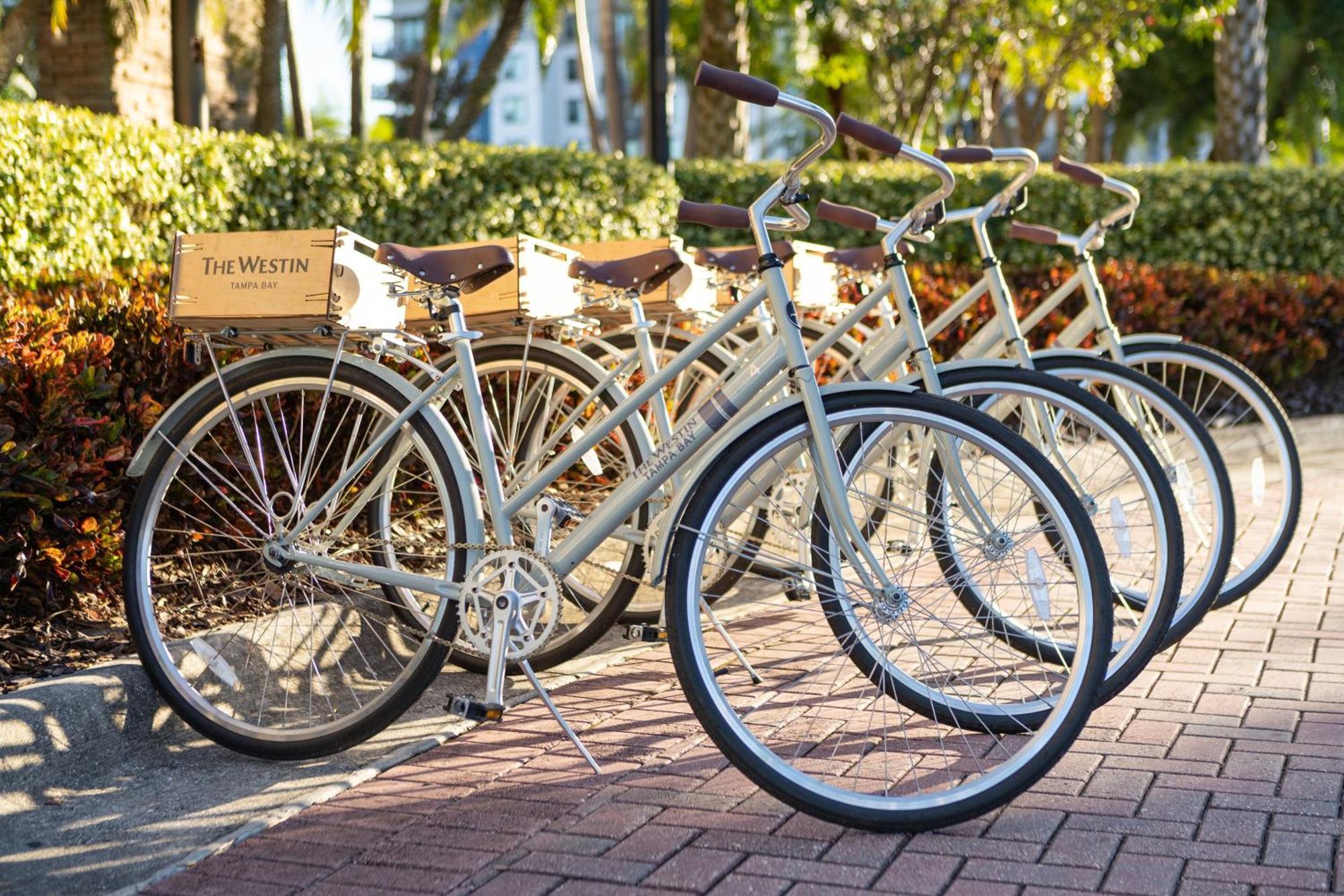 The Westin Tampa Bay Hotel Ngoại thất bức ảnh